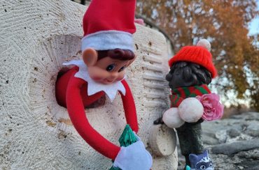 Manó a házban, avagy csíny letudva!